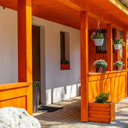 Apartament Lesny Zakopane Exteriér fotografie