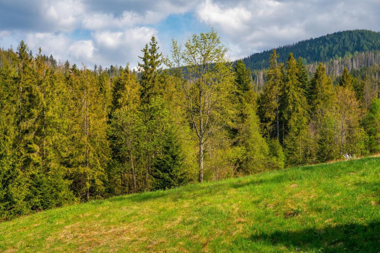 Apartament Lesny Zakopane Exteriér fotografie
