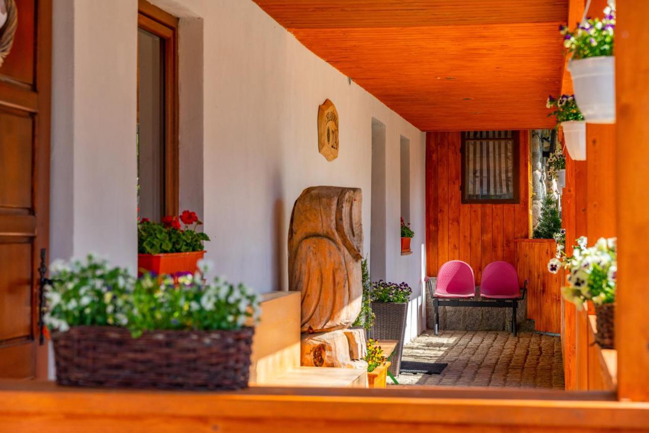 Apartament Lesny Zakopane Exteriér fotografie